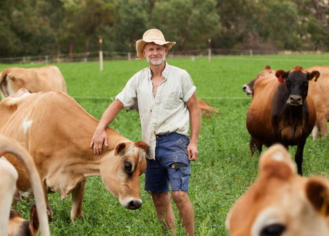 Dairymans Cottage - Tourism Brisbane 3