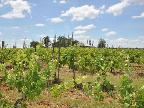 Beggars Bridge Vineyard Homestead W / Pool + Wifi + Tennis + Vineyard - Tourism Brisbane 1