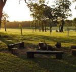 Wallaby Cottage cute Accom in bushland setting - Brisbane Tourism