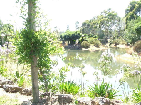 Still Waters - Tourism Brisbane 4