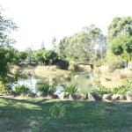 Still Waters - Tourism Brisbane 0