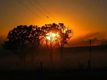 Lochinvar House B&B - Brisbane Tourism 3