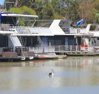 Murray Bridge Caravan Park - Brisbane 4u