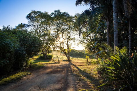Hillview Cottages - Brisbane Tourism 0