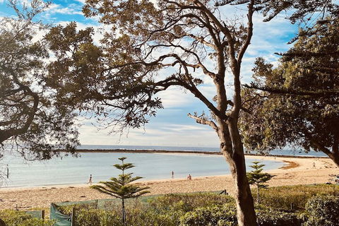 Kims Beachside Retreat - Brisbane Tourism 1