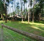 Fernglade on Menzies - Brisbane 4u