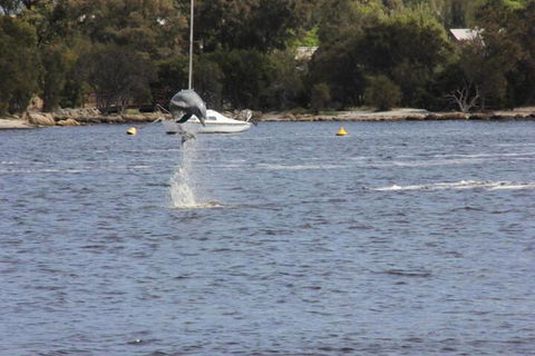 Tani Hill - Tourism Brisbane 1