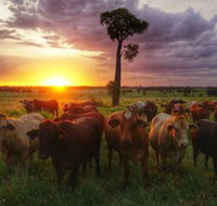 Myella Farm Stay - Brisbane 4u