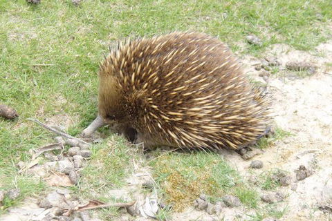 Base Camp Tasmania - Tourism Brisbane 3