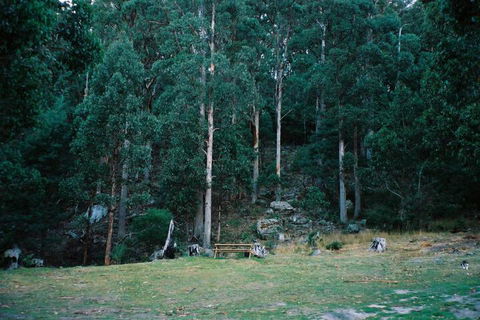 Base Camp Tasmania - Tourism Brisbane 7