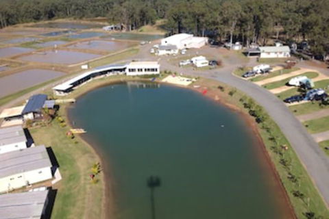 Australian Motor Homes Tourist Park - Tourism Brisbane 2