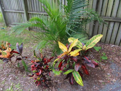 Beachside - Brisbane Tourism 4