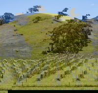 Blue House at Mountainside Wines - Tourism Brisbane