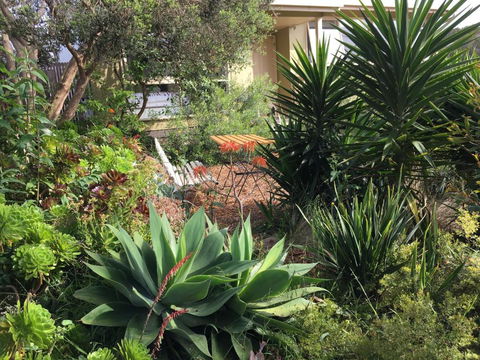 Andrews On Topaz - Tourism Brisbane 4