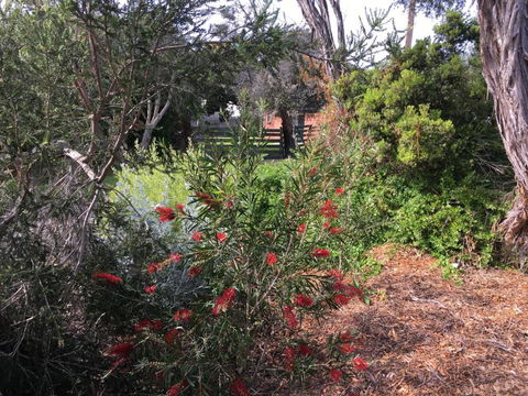 Andrews On Topaz - Tourism Brisbane 6