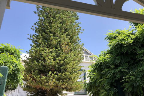 Kananook Heritage House - Tourism Brisbane 2