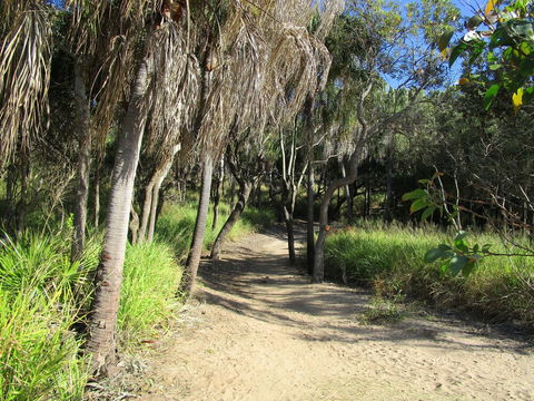 The Lovely Cottages Country Retreat - Tourism Brisbane 5