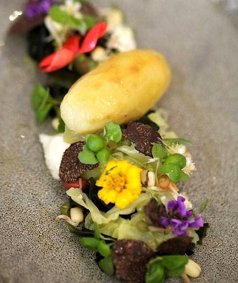 Altair Restaurant - Tourism Brisbane 4