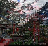 Beasleys Tea House - Tourism Brisbane