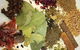 Dhaba By Aangan - thumb 0