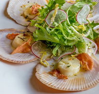 Bay Hotel - Brisbane Tourism