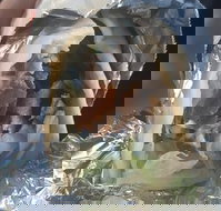 Kebab Oasis - Tourism Brisbane