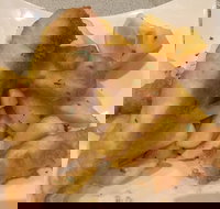 Lakeside Club - Tourism Brisbane