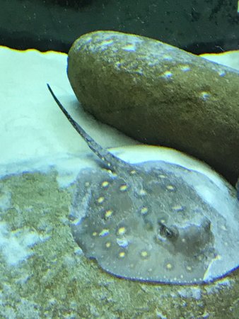 Well St Fish Shop - Brisbane Tourism 0