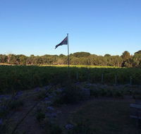 Lazzar Wines