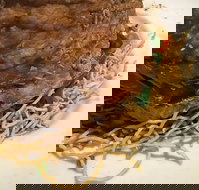 Lang Suan Thai Street Food - Tourism Brisbane