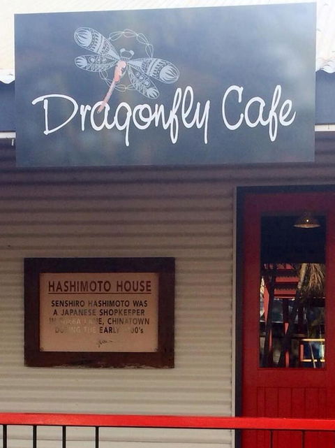 Dragonfly Cafe - Tourism Brisbane 5