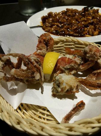 Fujiyama Japanese Teppanyaki Restaurant - Tourism Brisbane 0