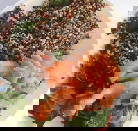 Amillys Cafe - Brisbane Tourism