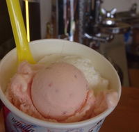Bermagui Gelati Clinic - Tourism Brisbane