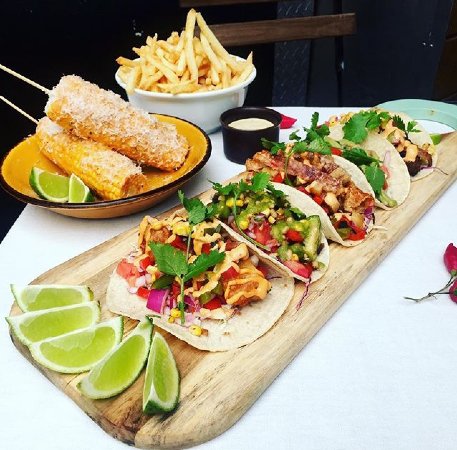 Chihuahua - Tourism Brisbane 0