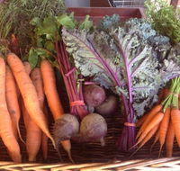 Food Lovers Market