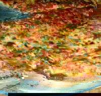 Al Pesto - Tourism Brisbane