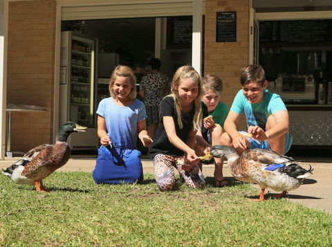 Arkarra Gardens Cafe And Restaurant - Brisbane 4u 2
