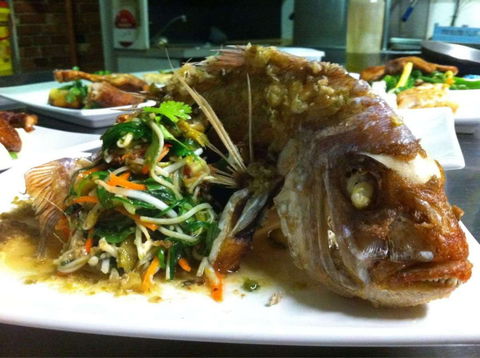 Terrace Cafe - Tourism Brisbane 0