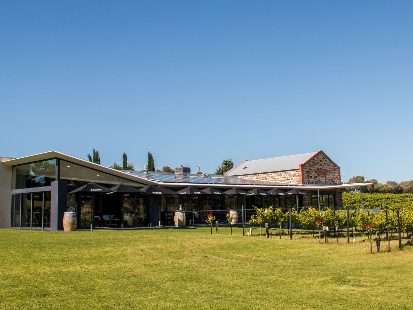 Mclaren Vale SA Brisbane Tourism