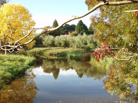 Cradle Coast Olives - Brisbane Tourism 0