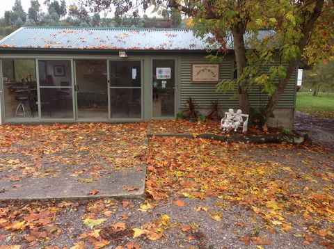 Cradle Coast Olives - Brisbane Tourism 1