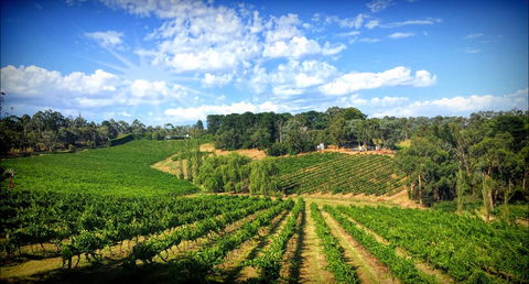 Kellybrook Winery And Kelly Brothers Cider - Brisbane Tourism 0
