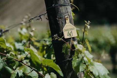 Kellybrook Winery And Kelly Brothers Cider - Brisbane Tourism 2