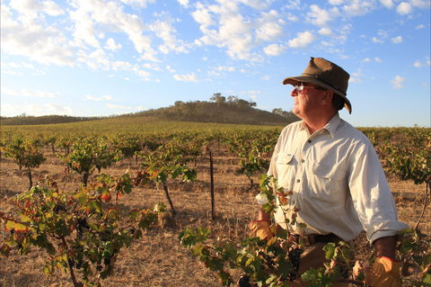 Sally's Paddock At Redbank Winery - Brisbane Tourism 2