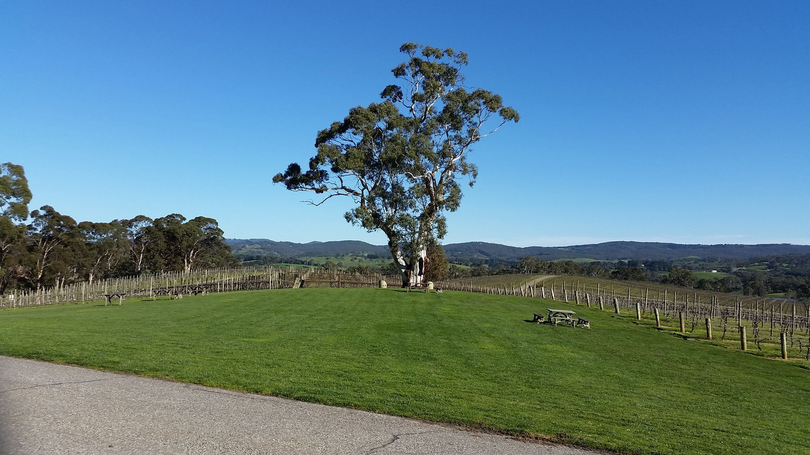 Balhannah SA Brisbane Tourism