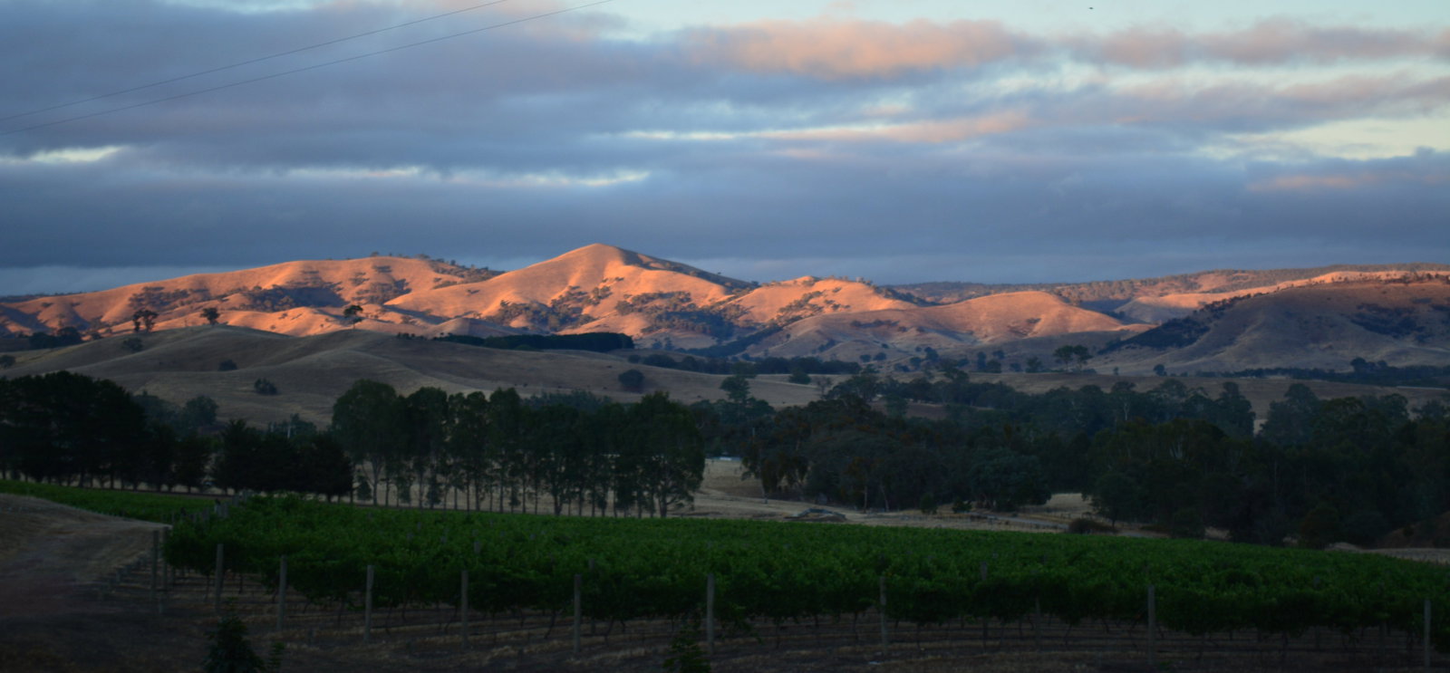 Murrindindi VIC Brisbane Tourism