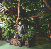 The Jungle - Kent Town Hotel - Tourism Brisbane