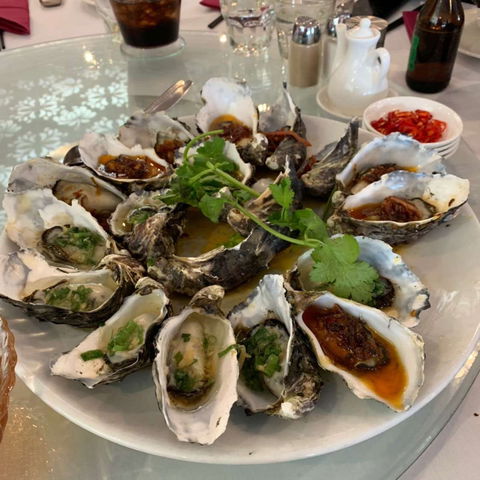 TreViet - Brisbane Tourism 0