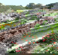 The Farmer's Place - Tourism Brisbane